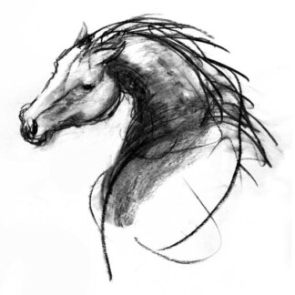 Image of The Stallion Hears by Diana Hand